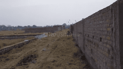 Hatia Plot View 2