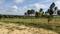 Image of 10000 Sq.ft Residential Plot / Land for sale in Denkanikottai, Krishnagiri for Rs. 3500000