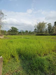 Image of 8640 Sq.ft 3 BHK Independent House for sale in Kaliapani Grant, Jorhat for Rs. 9800000