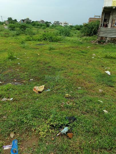 Jaripatka Main Image 1