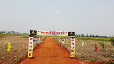 Residential Plot