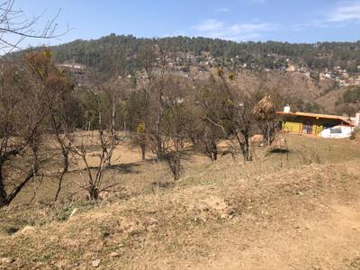 Image of 10800 Sq.ft Residential Plot / Land for sale in Pandeykhola, Almora for Rs. 1000000