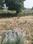 Tapukara Plot View 2