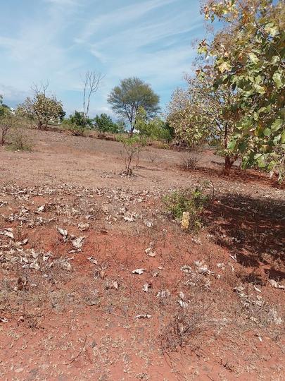 Anandham Avenue Main Image 1