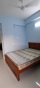 Bedroom Image of 1250 Sq.ft 2 BHK Apartment / Flat for rent in Madhapur Hyderabad for Rs. 36000