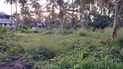 Image of 19600 Sq.ft Residential Plot / Land for sale in Panangad, Kochi for Rs. 38250000