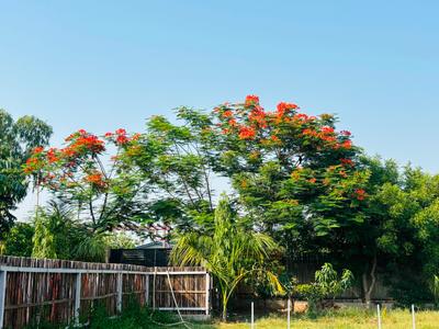 Image of 9072 Sq.ft 1 RK Farm House for sale in SS Sainik Farms, Sector 150, Noida for Rs. 7500000