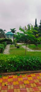 Residential Plot