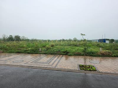 Trident Hills 1 Plot View 2