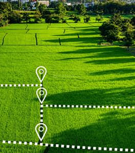 Image of 132 Sq.ft Residential Plot / Land for sale in Spiti Heritage Homes, Pataudi, Gurgaon for Rs. 13200000