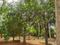 Raramuthirakkottai Main Image 1