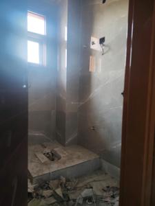 Common Bathroom Image of 700 Sq.ft 2 BHK Apartment / Flat for sale in Sangam Vihar New Delhi for Rs. 4200000