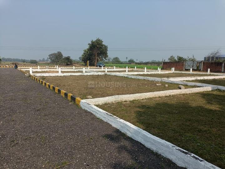 Royal Garden Main Image 1