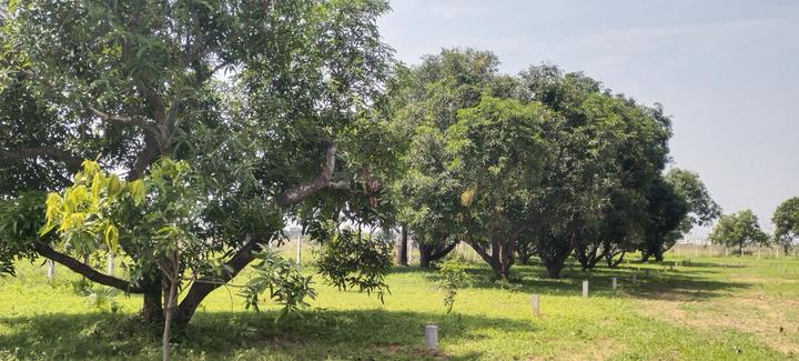 New Vellanur Main Image 1
