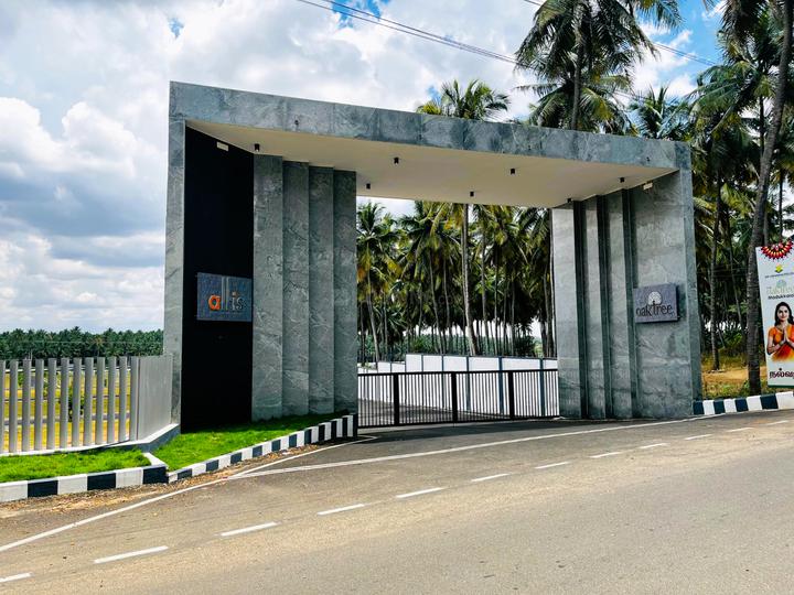 RR Oak Tree Main Image 1