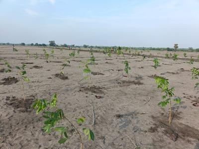 Residential Plot