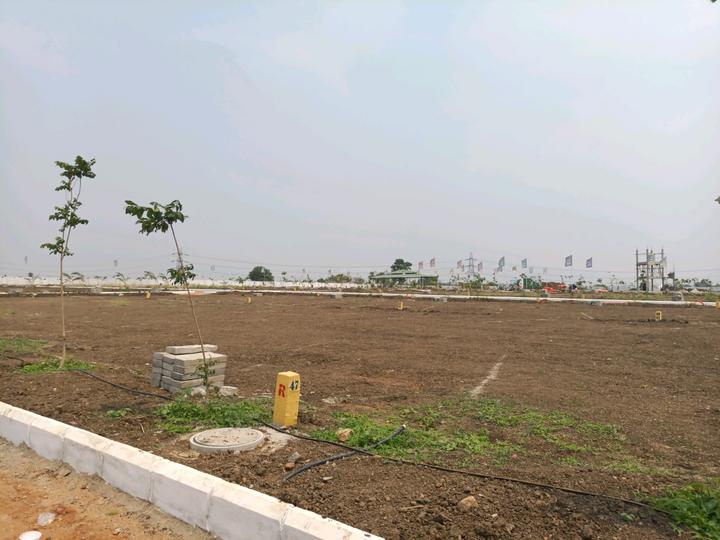 PLATINUM RIDGE Main Image 1