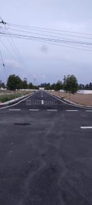 Annur Plot View 1