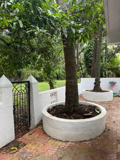 Near Cubic Mall Chembur East More Images 1