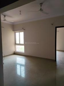 Hall Image of 1160 Sq.ft 3 BHK Apartment / Flat for rent in Paramount Emotions, Noida Extension Greater Noida for Rs. 20000