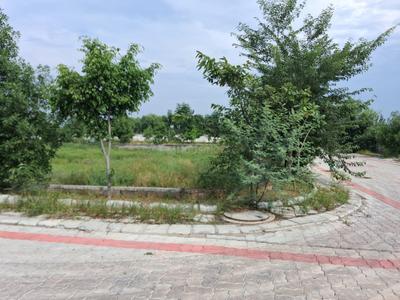 Image of 1250 Sq.ft Residential Plot / Land for sale in Muhana, Jaipur for Rs. 3886000