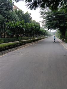 Image of 1650 Sq.ft 3 BHK Builder Floor for sale in Ireo City Plots, Sector 60, Gurgaon for Rs. 29500000