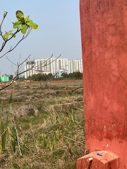 Patrapoda Main Image 1