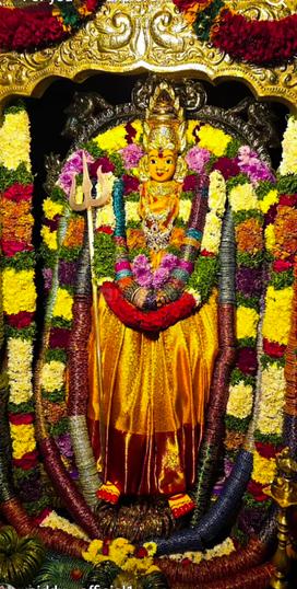 Tiruchanur Main Image 1