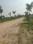 Metroplex City Internal Roads 1
