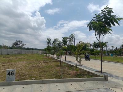 Residential Plot