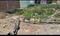 East Lakshmi Nagar Main Image 1