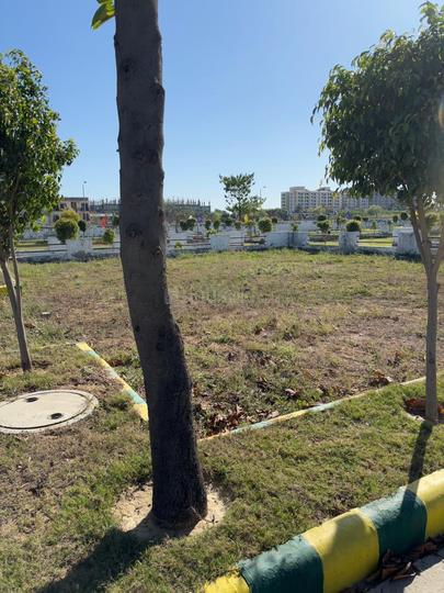 AMI GREEN sector 3 bahadurgarh Main Image 1