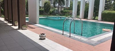 Swimming Pool Image of 1340 Sq.ft 2 BHK Apartment / Flat for rent in Kalp Pavitra, New Gotri Vadodara for Rs. 18000