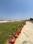 Banthra Sikander Pur Plot View 2