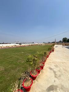 Banthra Sikander Pur Plot View 2