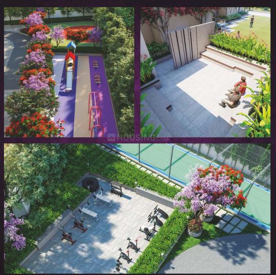 IRA Miracle Main Image 1