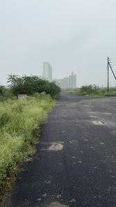 Sector 145 Plot View 2