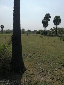 Agricultural Land