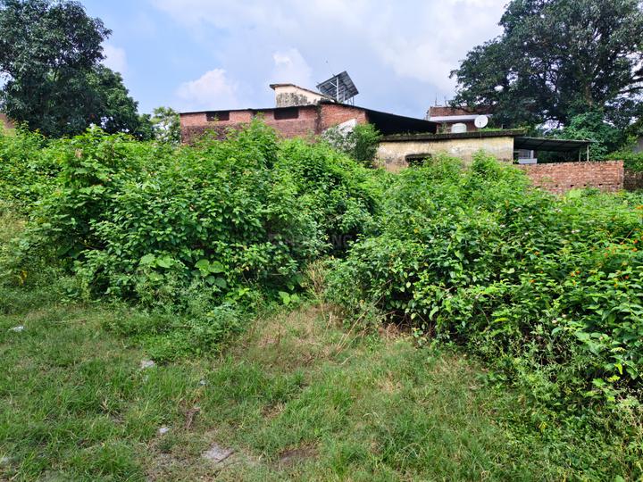 Sinaula, Malsi Main Image 1