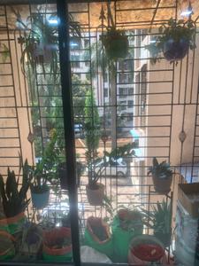 Balcony Image of 667 Sq.ft 1 BHK Apartment / Flat for sale in Flower Valley Complex, Kalyan West Kalyan for Rs. 6400000