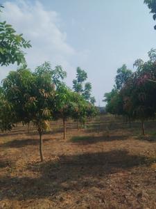 Image of 212 Sq.ft Residential Plot / Land for sale in Jinnaram, Sangareddy for Rs. 2300000