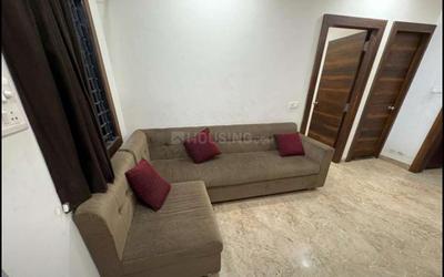 Hall Image of 1800 Sq.ft 3 BHK Apartment / Flat for rent in Palasia Indore for Rs. 30000