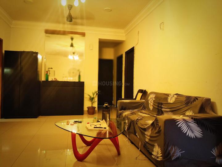 Arocon Rainbow Main Image 1