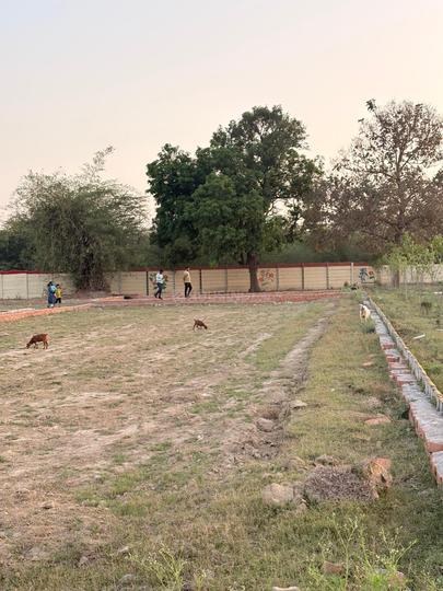 Hanumat dham  Main Image 1