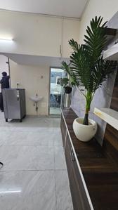 Hall Image of 980 Sq.ft 2 BHK Apartment / Flat for rent in Madhapur Hyderabad for Rs. 38000