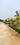 AP CRDA APPROVED GATED COMMUNITY PROJECT Main Image 1