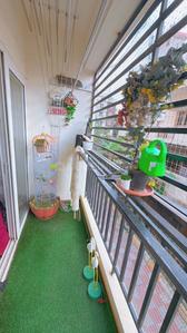 Balcony Image of 1305 Sq.ft 3 BHK Apartment / Flat for sale in EAPL Sri Tirumala Ambience by EAPL Group, JP Nagar Bengaluru for Rs. 13100000