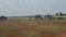 shine city Plot View 2