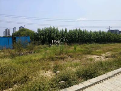 Residential Plot