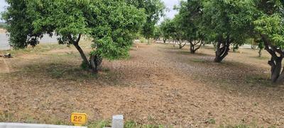 Image of 9809 Sq.ft Residential Plot / Land for sale in Kolar Town, Kolar for Rs. 5885400